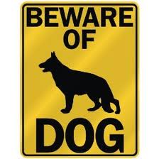 Dog attack sends 11-year old to hospital
