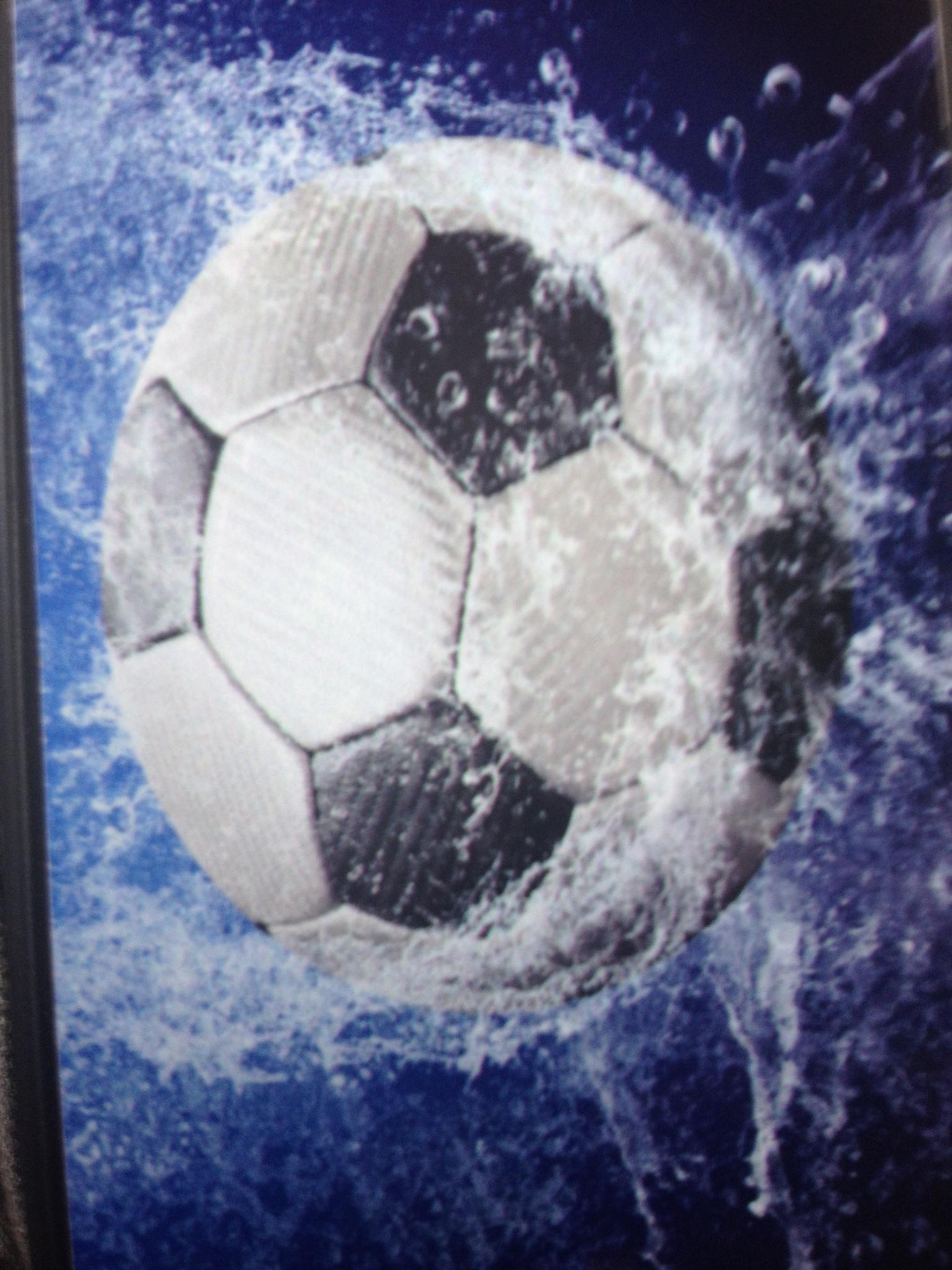 CCMS Soccer Stays Perfect