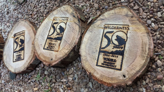 Tennesseans Celebrate “The Year of Wilderness”
