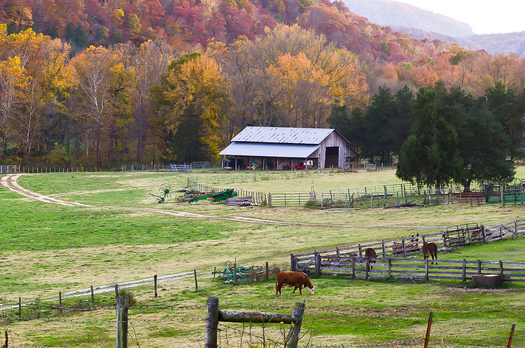 Deadline Looms in TN for Comments on Farm Conservation
