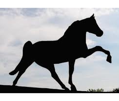Testing Results From Annual Horse Show