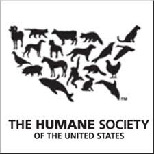 Report Alleges American Kennel Club Lobbies Against Puppy Mill Laws