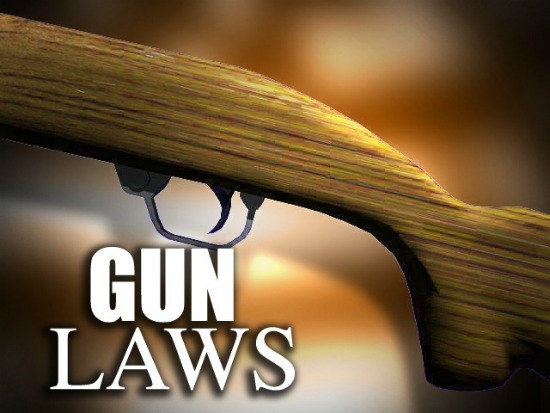 Constitutional Carry advances to Finance, Ways & Means