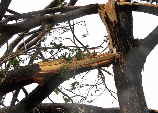 Recent TN Storms Open Floodgates For Insurance Claims