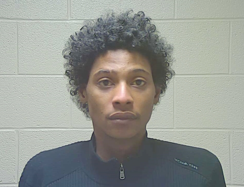 Traffic Stops Leads to Several Charges