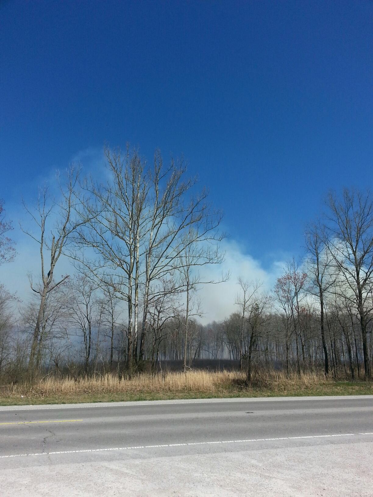 Division of Forestry  says No to Burn Permits