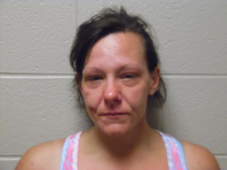 Stolen items from Wal-Mart leads to Meth Charges for Florida Woman