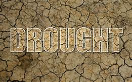 No Drought in Coffee County, but other areas are Suffering