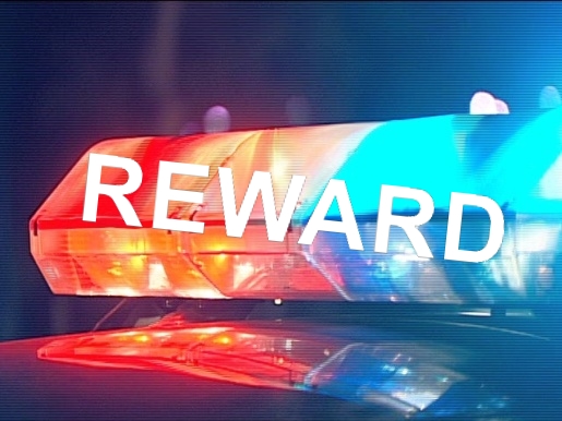 Manchester Police Investigating Multiple Thefts