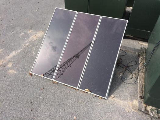 Harness the Sun: TN Urged to Maximize Solar Potential