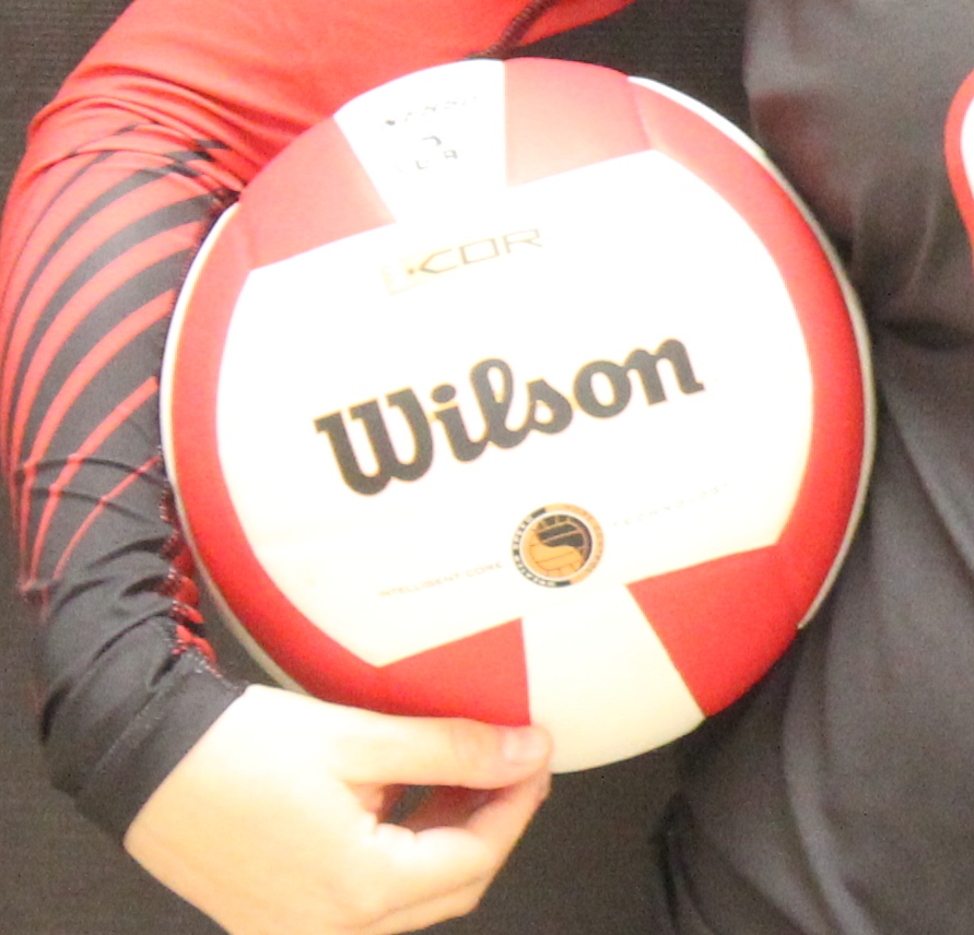 CHS Volleyball Struggles in Day #2 of Eagleville Tournament