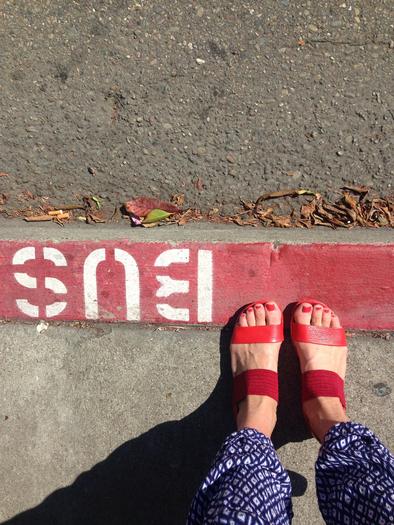 Don’t Miss the Bus: Tennesseans Organize for Better Public Transit