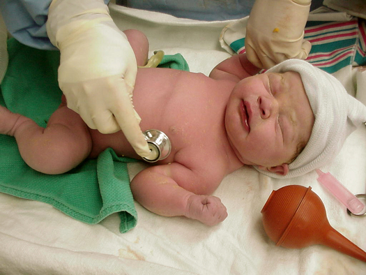 Report: Number of TN Children Insured at Historic High