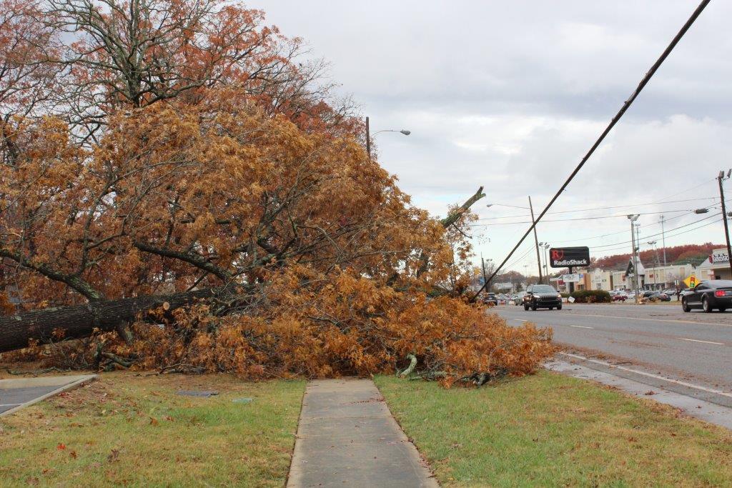 Two Tornados Hit Coffee County
