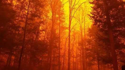 Report Says Insufficient Warning given to Evacuate During Deadly Wildfires of 2016