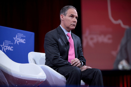 President Trump’s EPA Pick Concerns Some Parents in Tennessee