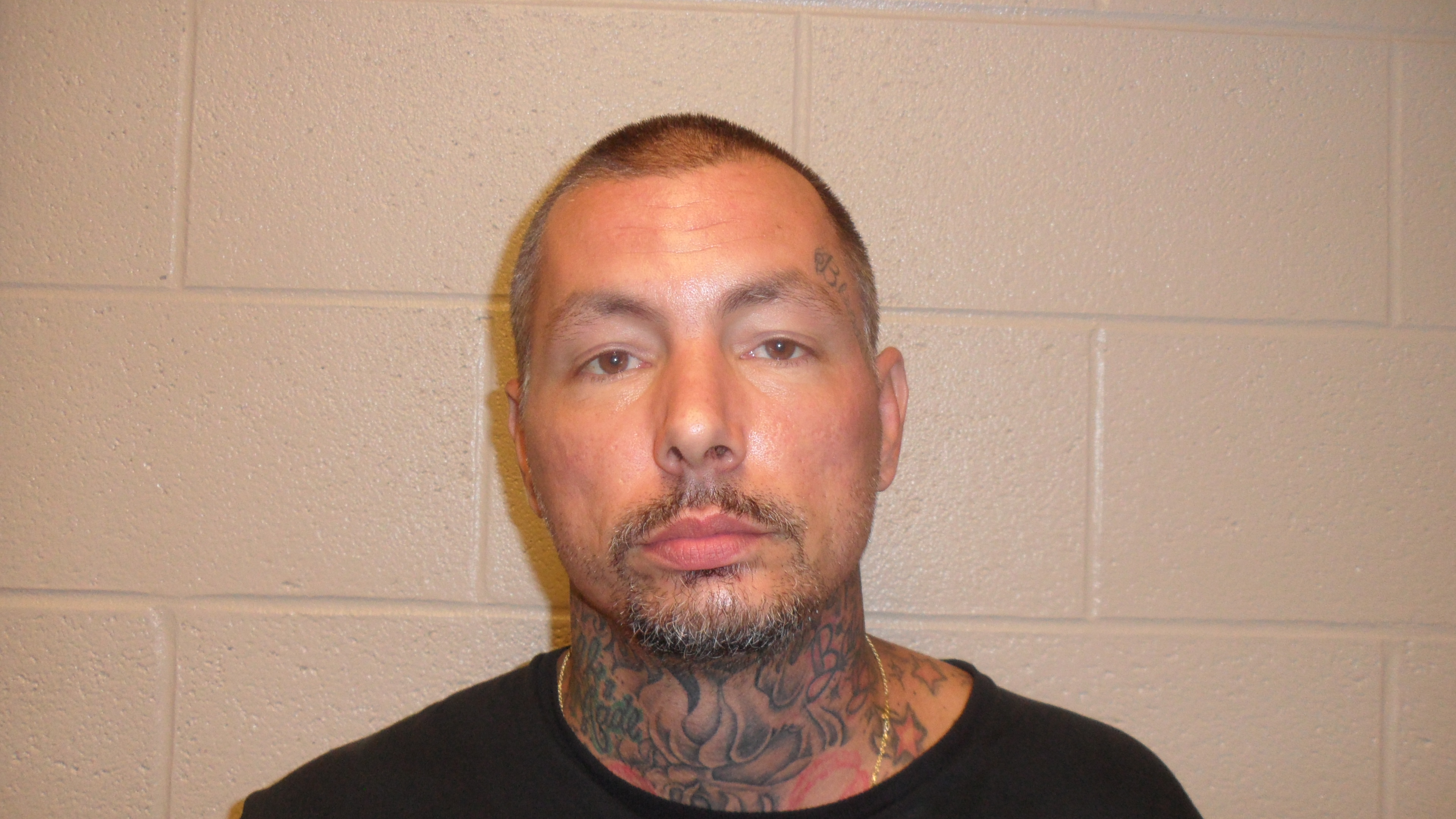 Wanted Man back in Jail