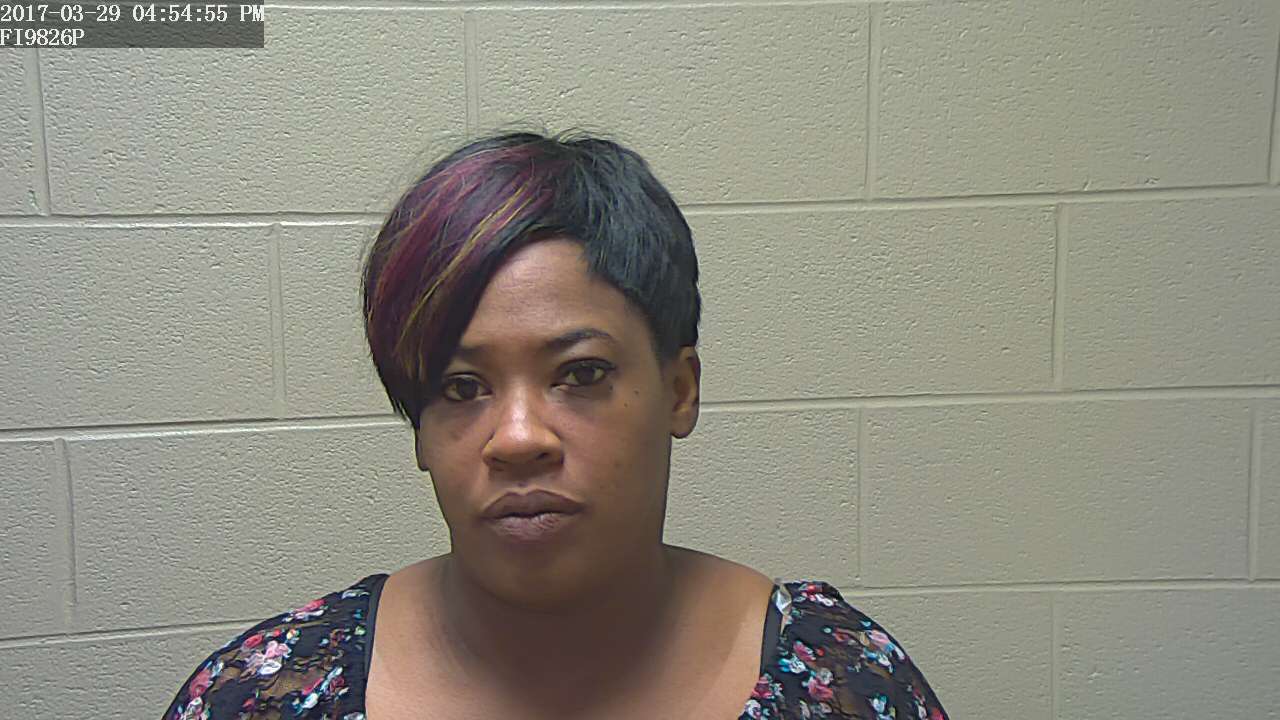 Charges levied in Coffee County against Nashville woman for Stolen Car and more