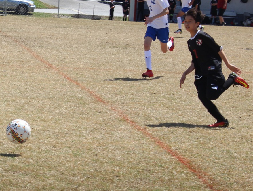 CCMS Soccer Falls to Harris on Wednesday Night