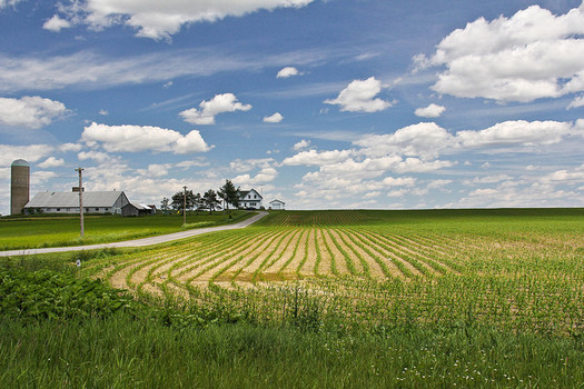 Dow Chemical Wants Pesticide Study Dropped, According to Leaked Documents