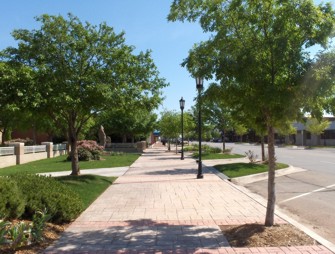 Urban Forestry Tree Planting Project Proposals now being taken in Tennessee
