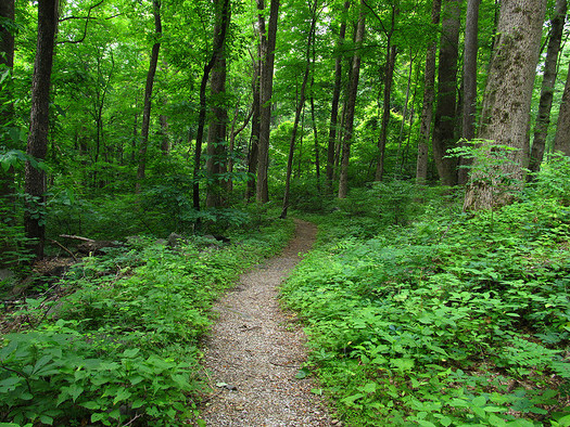 Tennessee Wilderness Act moving forward in the U.S. Senate