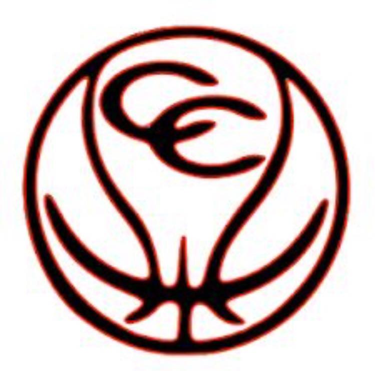 CHS Lady Raider Basketball Team to Host Golf Tournament