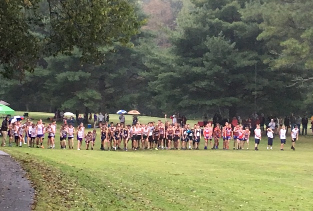 Prep Cross Country Runners Shine at Meet at Old Stone Fort Golf Course