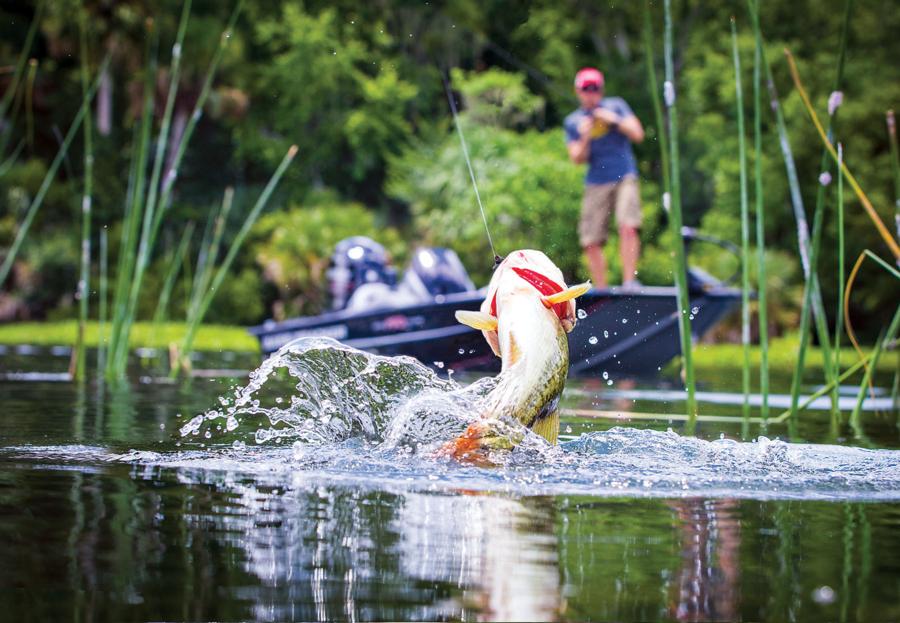 Coffee County Sheriff’s Department 20th Annual Fishing Tournament Scheduled for September