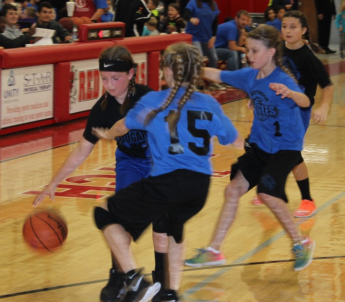 Coffee County Elementary Basketball Report – October 28, 2017