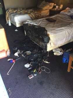 Hotel Meth Lab in Murfreesboro Burns Man
