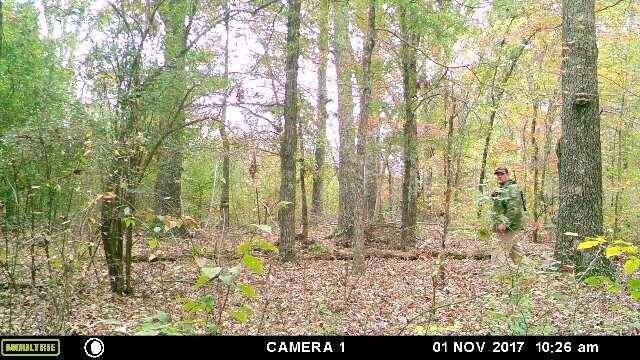 Tullahoma Police asking for the Public’s Help