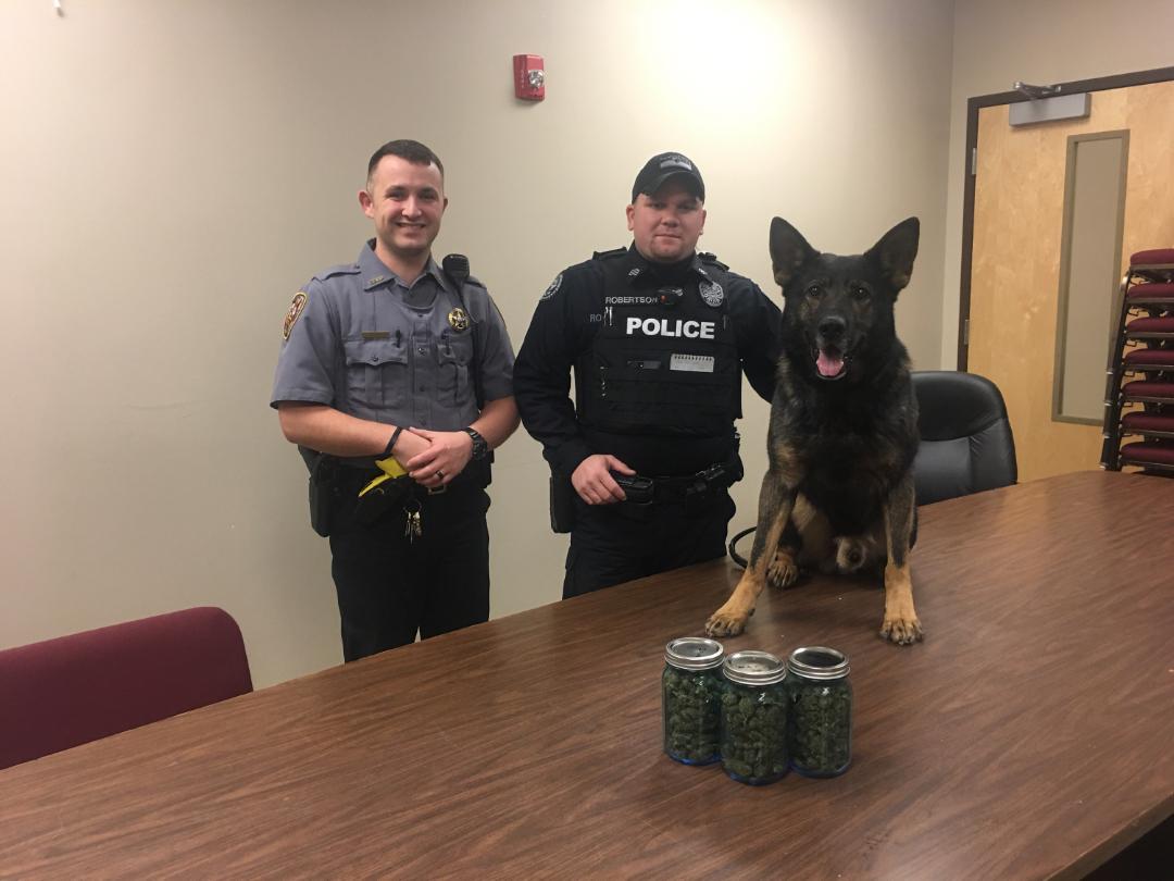 K-9 Helps Discover Drugs
