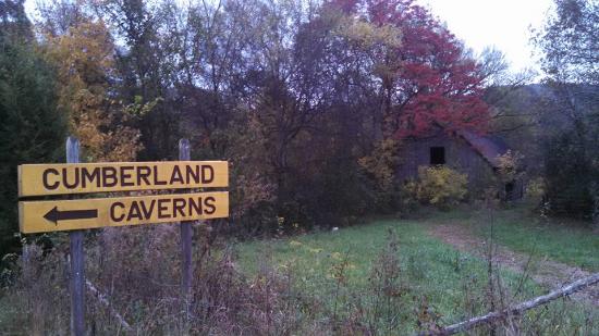 New Live Music Series coming to Cumberland Caverns
