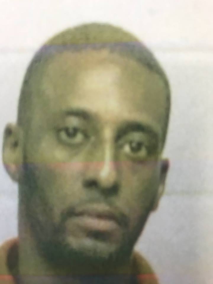 Armed Robbery in Shelbyville