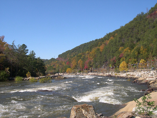 TN Groups Sue Feds Over Treatment of Cherokee Forest