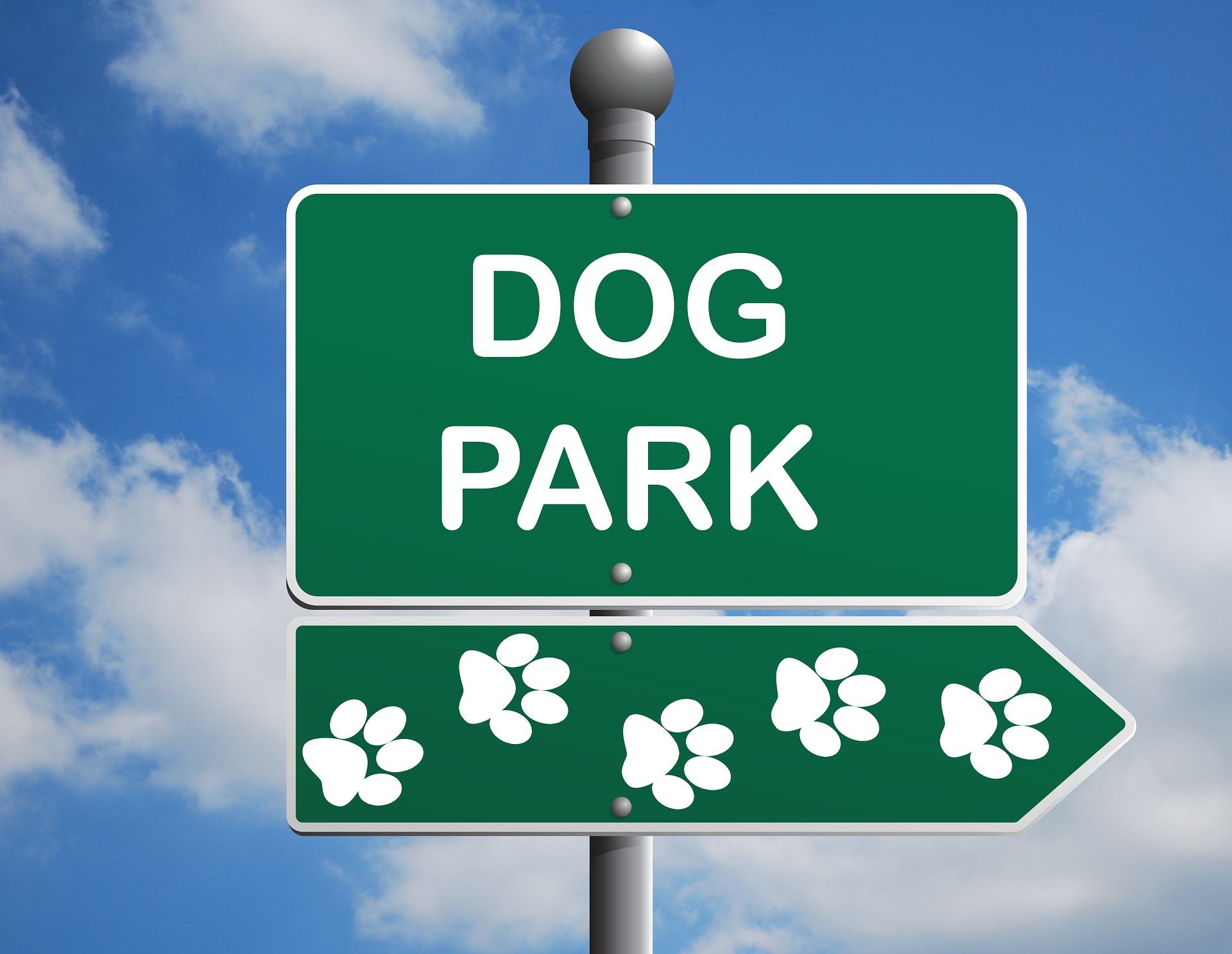 Name the Dog Park Contest