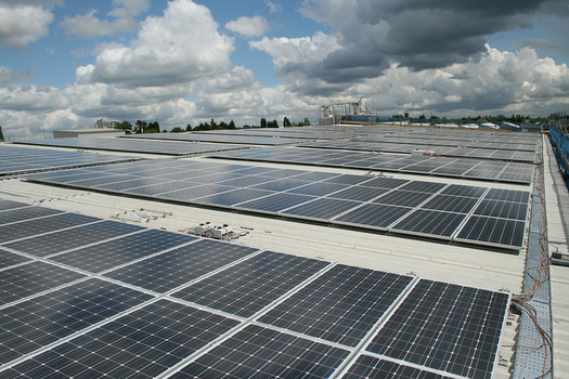 TN Solar Installation Projected to be Lowest Since 2011