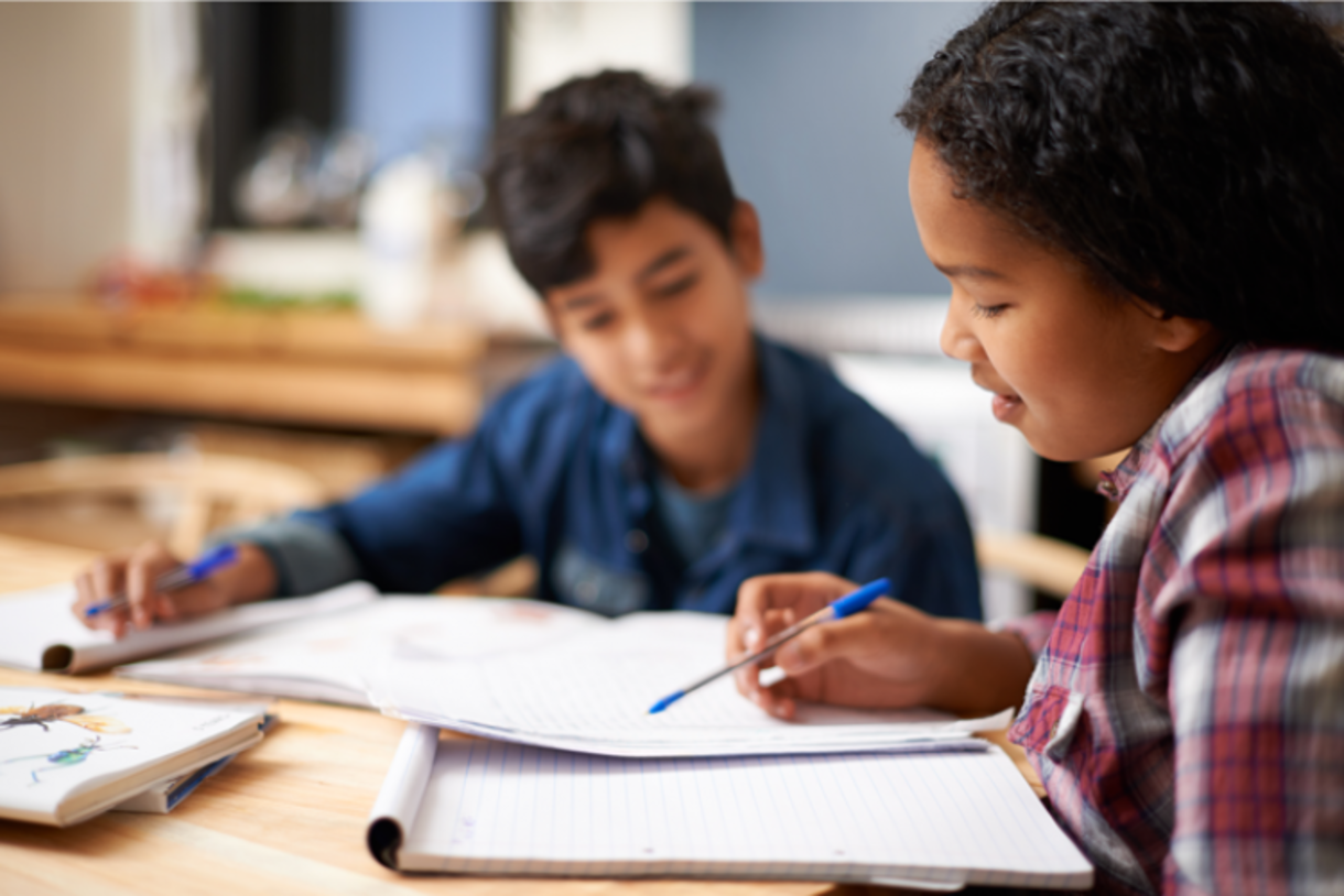 State Essay Contest Begins