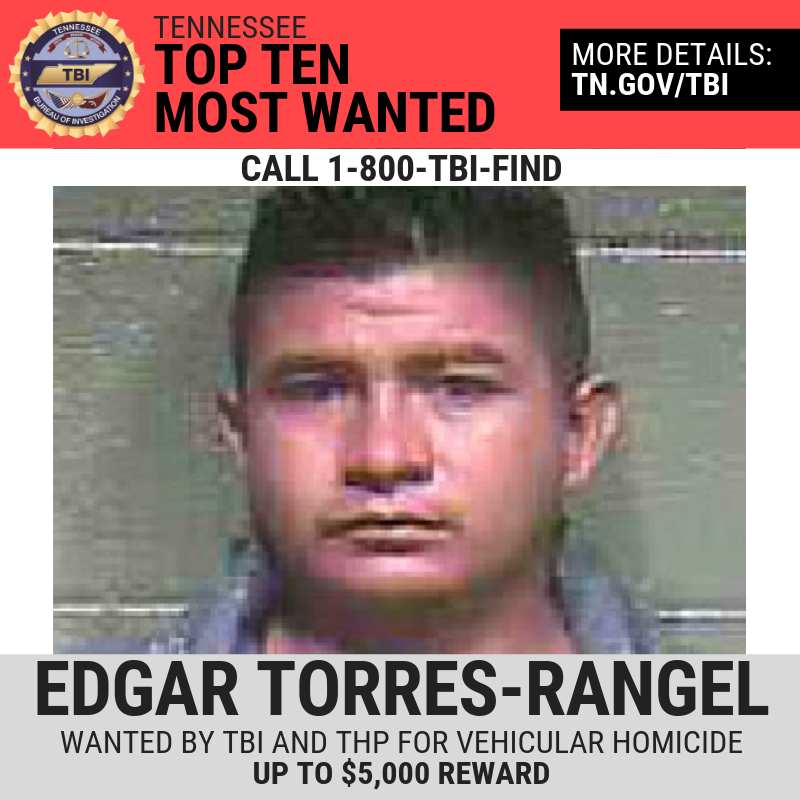 Authorities Searching for Vehicular Homicide Suspect