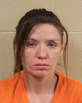 Another Animal Cruelty Case in Grundy County