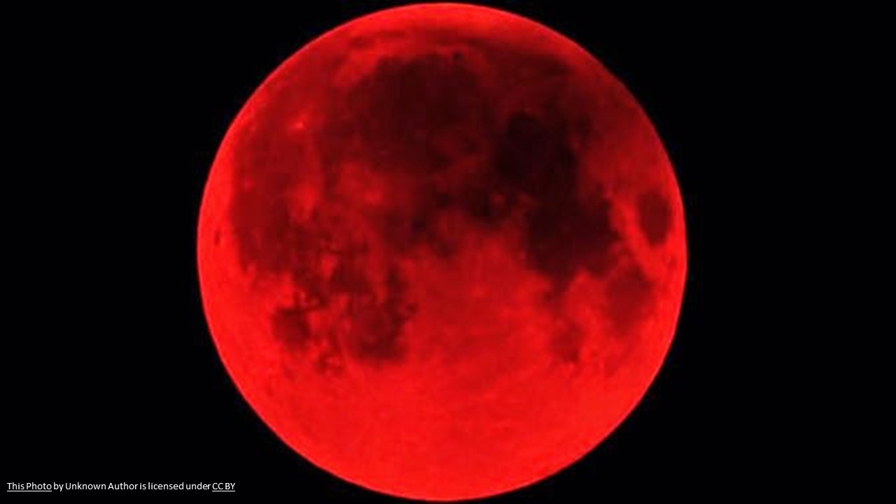 Blood Moon is Coming