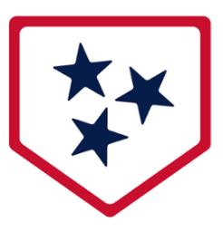 Sounds’ Comeback Falls Short Against Cubs