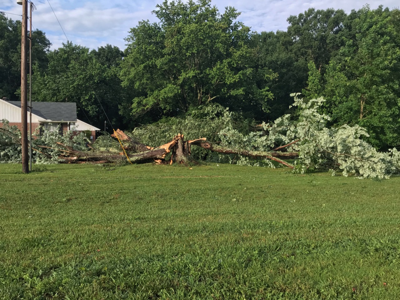 Strong Storms Power Through Coffee County