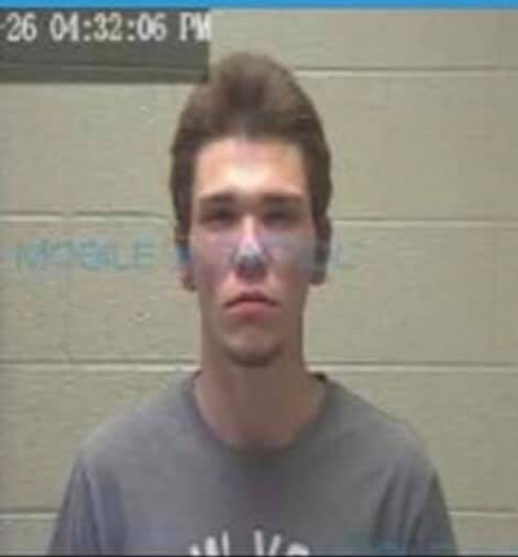 Man charged with aggravated animal cruelty, domestic assault after killing kitten