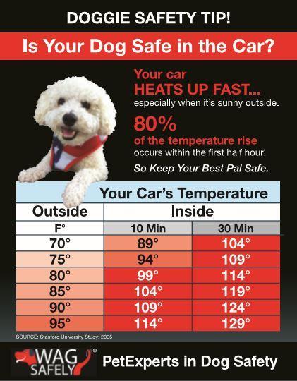 AAA gives tips for high temps