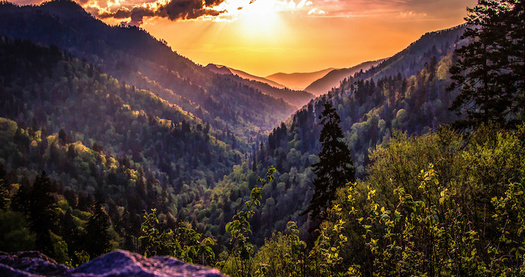 8 in 10 voters support repairing national parks, study shows