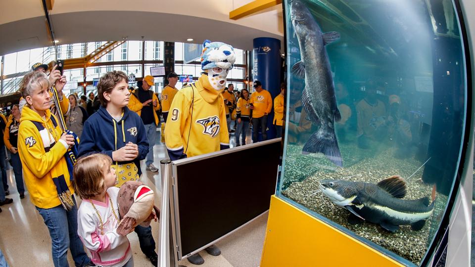 Preds Take Care of Catfish During Pause of NHL Season