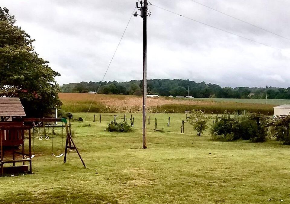 NWS confirms tornado touch down near Viola on Friday