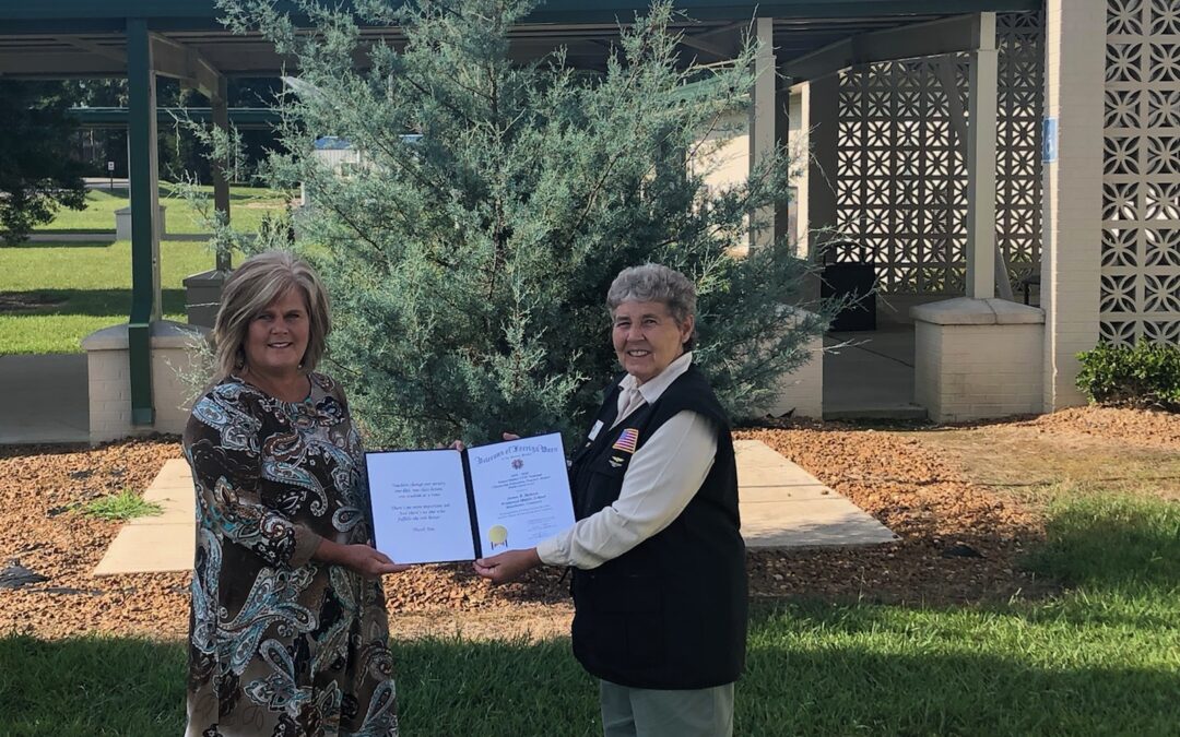 Westwood Middle receives recognition from VFW